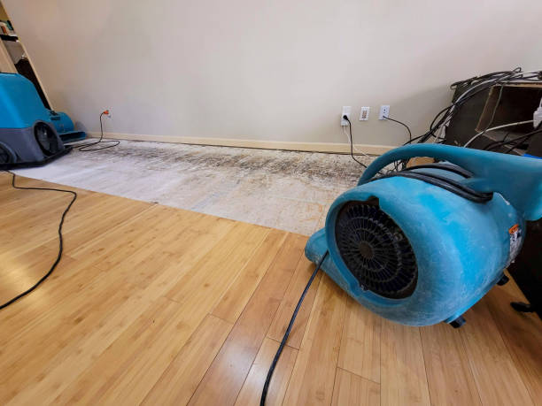 Professional Water Damage Repair technician working in Pecks Mill, WV