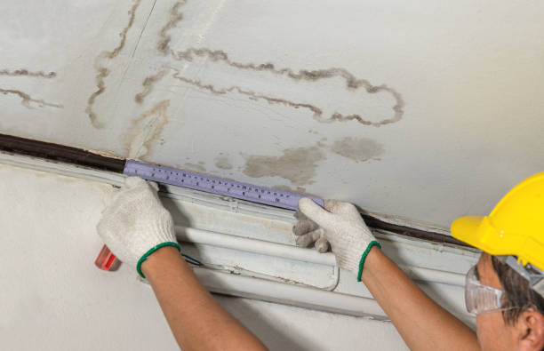 Affordable Water Damage Repair solutions in Pecks Mill, WV
